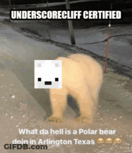 A Polar Bear On A Leash With Underscorecliff Certified GIF