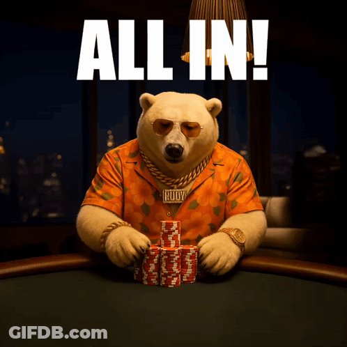 A Polar Bear Sitting At A Poker Table With The Words All In Above Him GIF