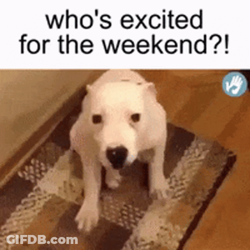 A Polar Bear Sitting On A Rug With The Words Who 'S Excited For The Weekend ? GIF