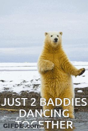 A Polar Bear Standing On Its Hind Legs With The Words Just 2 Baddies Dancing Together Above It GIF