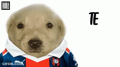 A Polar Bear Wearing A Blue And Red Shirt With The Word Te On It GIF