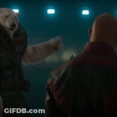 A Polar Bear With The Words This Clown Is A Level Four On It GIF