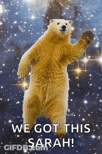 A Polar Bear With The Words We Got This Sarah Written Below It GIF