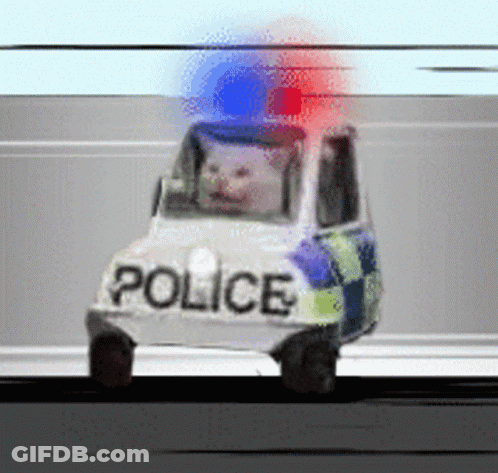 A Police Car With A Cat In The Back GIF