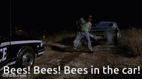 A Police Car With The Words Bees Bees Bees In The Car On It GIF