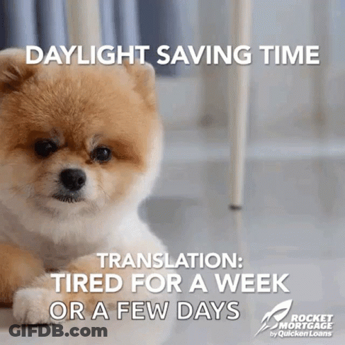 A Pomeranian Dog Is Laying On The Floor With The Caption Daylight Saving Time GIF