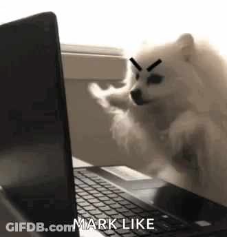 A Pomeranian Dog Is Sitting On Top Of A Laptop Computer . GIF