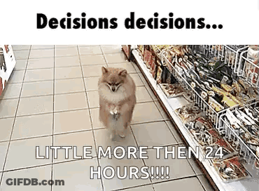 A Pomeranian Dog Is Walking Down The Floor Of A Grocery Store . GIF