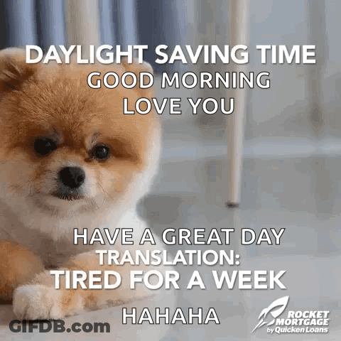 A Pomeranian Dog Laying On The Floor With A Daylight Savings Time Message GIF