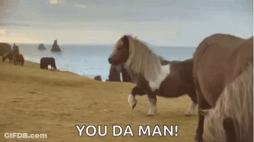 A Pony Is Standing On Its Hind Legs On A Sandy Beach Next To The Ocean . GIF