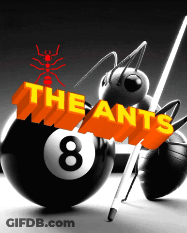 A Pool Ball With The Words The Ants Written On It GIF