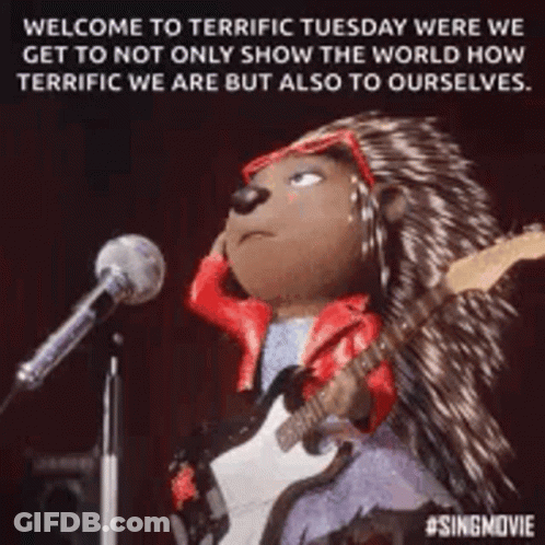 A Porcupine Is Playing A Guitar In Front Of A Microphone . GIF