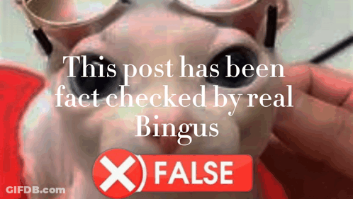 A Post Has Been Fact Checked By Real Bingus And Has An X On It GIF