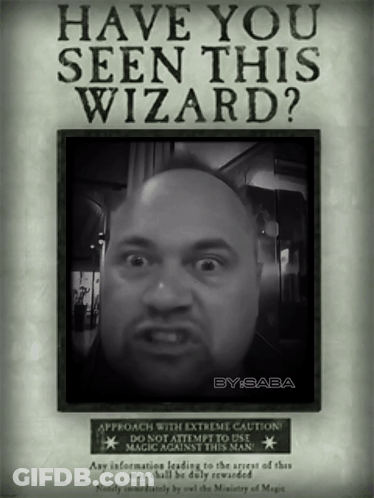 A Poster Asking If Someone Has Seen A Wizard GIF