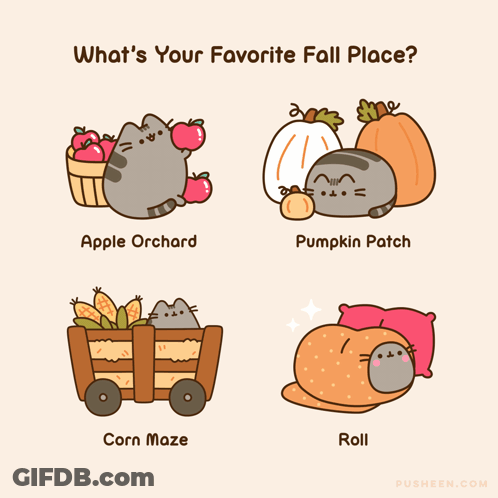 A Poster Asking What 'S Your Favorite Fall Place With A Cat In An Apple Orchard Pumpkin Patch And Corn Maze GIF