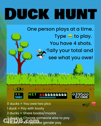 A Poster For A Video Game Called Duck Hunt With Instructions On How To Play GIF