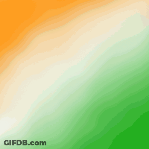 Cricket Match Poster For Avira Digital Studios GIF