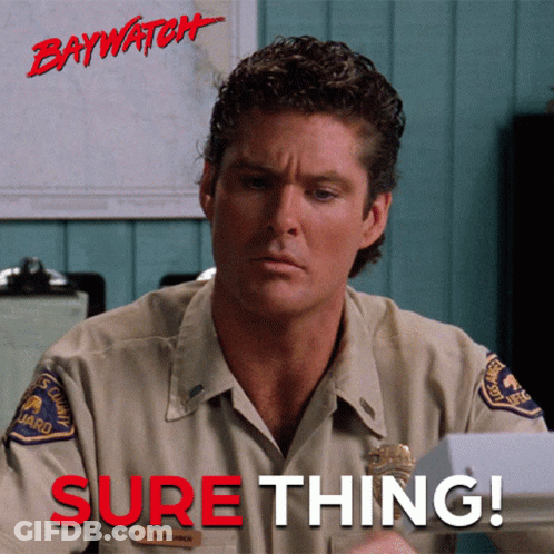 A Poster For Baywatch Shows A Man In Uniform GIF
