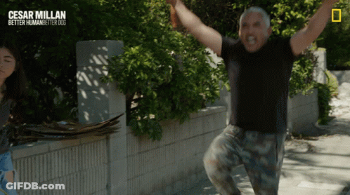 A Poster For Cesar Millan Better Human Better Dog With A Man Jumping In The Air GIF