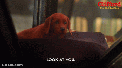 A Poster For Clifford The Big Red Dog Shows A Red Dog In A Car GIF