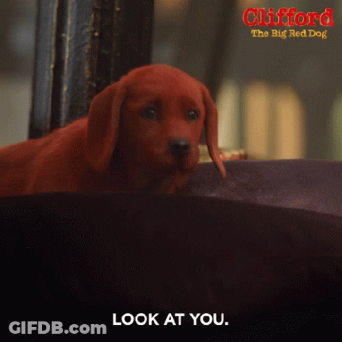 A Poster For Clifford The Big Red Dog Shows A Red Puppy GIF
