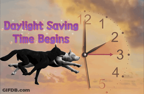 A Poster For Daylight Saving Time Begins Spring Forward GIF