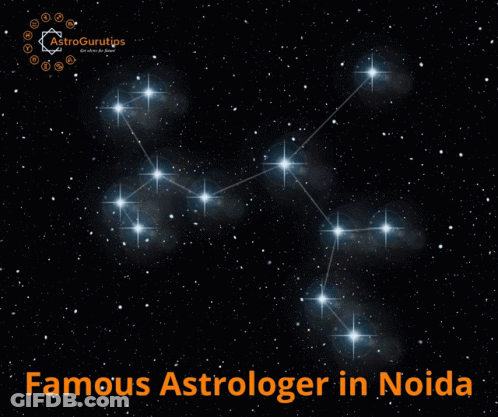 Famous Astrologer Poster In Noida With Paw Prints GIF