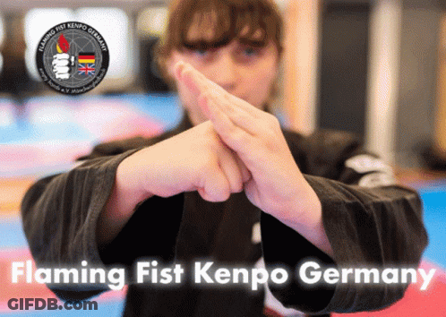 A Poster For Flaming Fist Kenpo Germany Shows A Person Holding A Black Object GIF