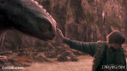 A Poster For How To Train Your Dragon Shows A Boy Petting A Dragon GIF