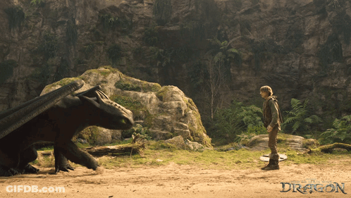 A Poster For How To Train Your Dragon With A Boy And A Dragon GIF