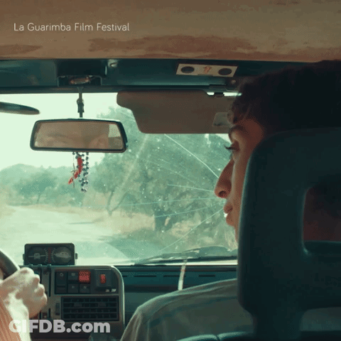 A Poster For La Guarimba Film Festival Shows A Man Sitting In The Driver 'S Seat GIF