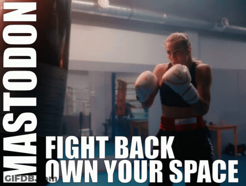 A Poster For Mastodon Shows A Female Boxer In A Gym GIF
