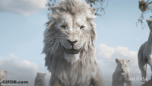 A Poster For Mufasa The Lion King GIF