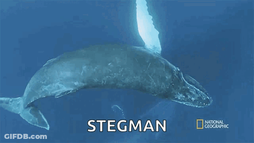 A Poster For National Geographic Shows A Whale In The Ocean GIF