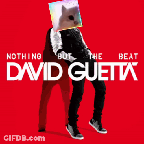 A Poster For Nothing But The Beat David Guetta Shows A Man With A Cat On His Head GIF