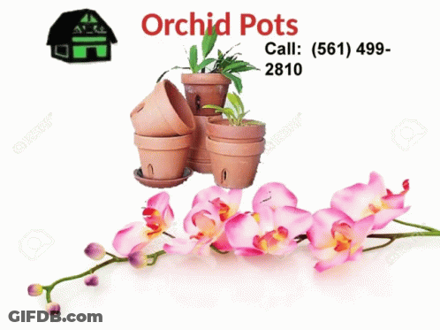 A Poster For Orchid Pots With A Picture Of Flowers GIF