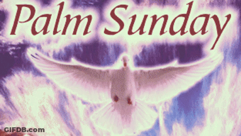 A Poster For Palm Sunday With A White Dove Flying In The Sky GIF