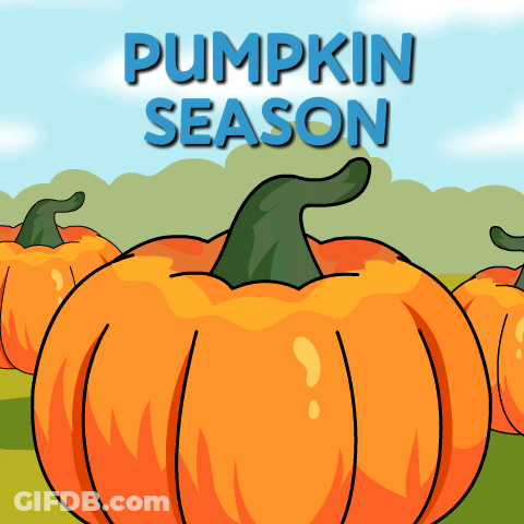 A Poster For Pumpkin Season With A Bunch Of Pumpkins In The Background GIF