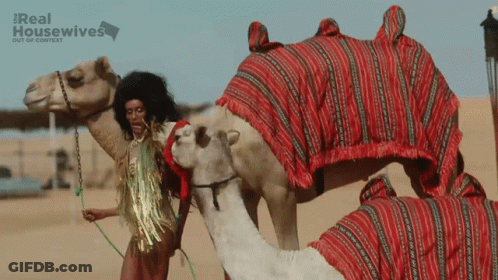 A Poster For Real Housewives Shows A Woman Leading Two Camels GIF