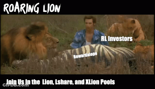 A Poster For Roaring Lion With A Zebra And A Man GIF