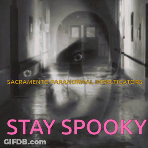 A Poster For Sacramento Paranormal Investigators Shows A Ghost GIF