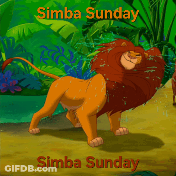 A Poster For Simba Sunday With A Lion In The Background GIF