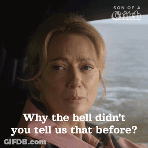 A Poster For Son Of A Catch Shows A Woman Looking Out A Window GIF
