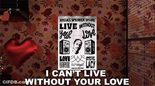 A Poster For Steve Lacy 'S Live Without Your Love Album GIF