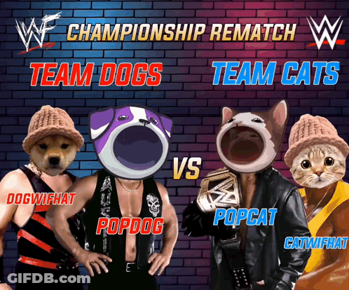A Poster For The Championship Rematch Between The Team Dogs And The Team Cats GIF