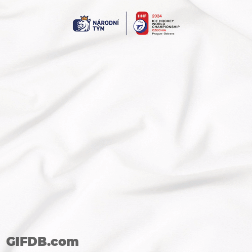 A Poster For The Ice Hockey World Championship Shows A Blurry Picture Of David Pasti GIF