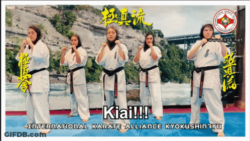 A Poster For The International Karate Alliance GIF