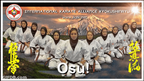 A Poster For The International Karate Alliance Kyokushinryu Shows A Group Of Women GIF
