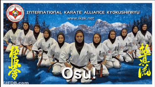 A Poster For The International Karate Alliance Kyokushinryu Shows A Group Of Women In Karate Uniforms GIF