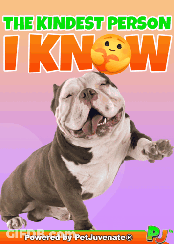 A Poster For The Kindest Person I Know Shows A Smiling Dog GIF